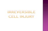 Irreversible cell injury