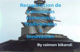 Raimon Bikandi Recovery of traditional economic structures and innovation