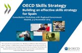 Building an Effective Skills Strategy for Spain – Consultation Workshop with Regional Governments