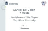 Cancer de colon y recto