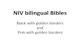 Niv Bilingual Bibles
