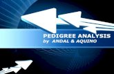Pedigree analysis by andal, aquino