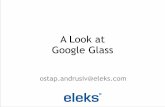 A Look At Google Glass