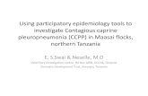 Using participatory epidemiology tools to investigate Contagious caprine pleuropneumonia (CCPP) in Maasai flocks, northern Tanzania