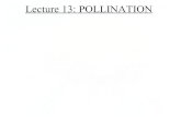 Pollination '' Reproduction in Plants"
