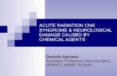 Acute radiation cns syndrome & neurological damage caused by chemical agents