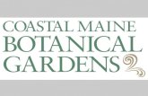 Growing A Butterfly Garden at Coastal Maine Botanical Gardens