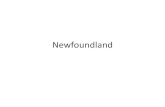 Newfoundland ppt