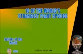 10  Of  The  Worlds  Strangest Plant Species   (Nx Power Lite)
