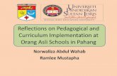 Reflections on pedagogical and curriculum implementation at orang asli schools in pahang