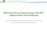 Multi-focal Area Programming in the GEF- Opportunities and Challenges
