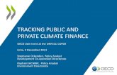 Tracking Public and Private Climate Finance