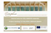 Interim tests for CELLUWOOD project
