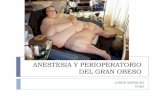 Anestesia para el gran obeso