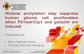 Histone acetylation may suppress human glioma cell proliferation when P21waf/Cip1 and gelsolin are induced