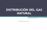Distribución del gas natural
