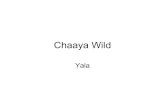 Chaaya Wild, Yala - Sri Lanka