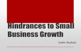 Hindrances to small business growth