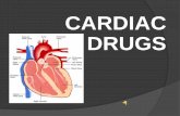 cardiac drugs and tests