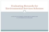 Evaluating Rewards for Environmental Services Schemes