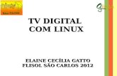 TV Digital com Linux