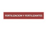 Fertilizacion y  Fertilizantes