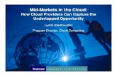 Mid-Markets in the Cloud: How Cloud Providers Can Capture the Undertapped Opportunity