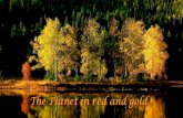 The Planet in red and gold