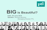 Big is beautiful - Defind Contribution Pension Schemes & Master Trusts