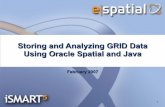 Storing and Analyzing GRID Data Using Oracle Spatial and Java