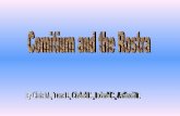 Rostra And Comitium