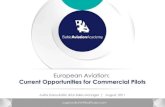 European Avia¬tion: Current Opportunities for Com¬mercial Pilots