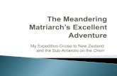 The meandering matriarch’s excellent adventure