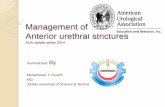 Management of anterior urethral stricture by AUA 2014