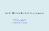 Acute gastrointestinal-emergencies-1232208980905009-3