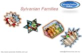 Sylvanian Families Beachwood