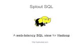 Splout SQL: A web-latency SQL view for Hadoop