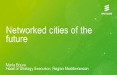 Networked cities of the future 151214