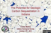 The Potential for Geologic Carbon Sequestration in Indiana