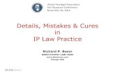 Details, Mistakes & Cures in IP Law
