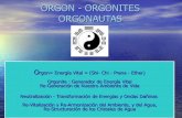 Martine D._Orgon- Orgonites y orgonautas_esp