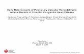 Early determinants of pulmonary vascular remodeling - figures
