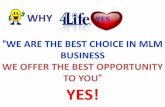 Why network why 4 lifeyes 3