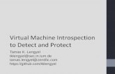 Hacktivity2014: Virtual Machine Introspection to Detect and Protect