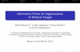 Informative Priors for Segmentation of Medical Images