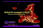 Biofuel For Transport In Eu 27   Where Are The Future Markets
