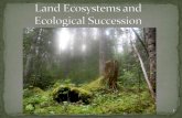 Land ecosystems and ecological succession (revised)