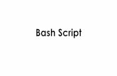 Bash script final