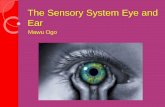 the Sensory system Eye and Ear