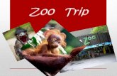 Zoo Trip based on Emu